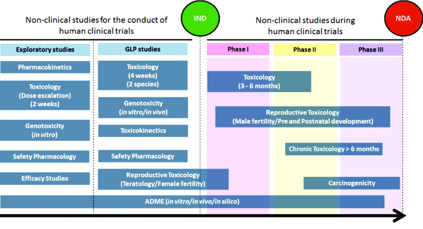 Non clinical studies